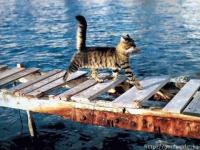 L'art de la pêche