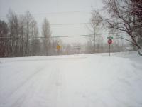 Tempête de neige