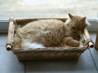 La sieste de Léa
