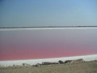 Les salines en Camargue
