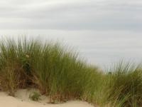 Mer du nord