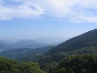 Le vert du Pays Basque