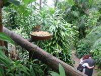 Exposition de Papillons