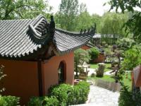 Paradisio : Jardin japonais