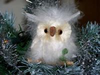 C'est chouette Noël !!!