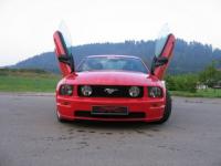 Mustang papillon