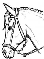 Mon cheval