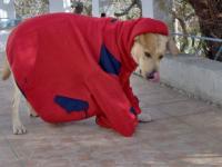 Balou en Nike