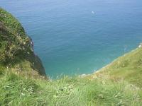 Falaise
