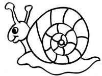 L'escargot