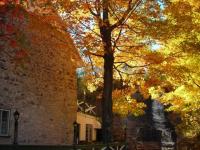 Automne au Québec