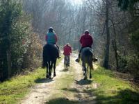 Sortie en foret
