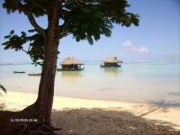 Tahiti by Fred