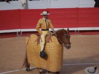 Picador