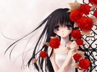 Mangas rose