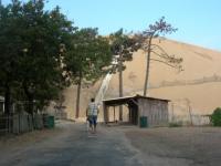 Les dunes de Pilat