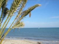 Djerba 2005