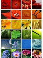 Couleurs de printemps