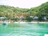 L'ile moustique