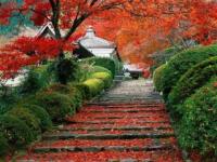 Chemin vers le paradis