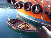 Petit bateau