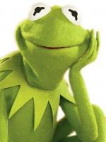 Mr Kermit