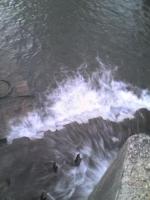 Cours d'eau