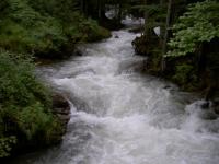 Torrent alpestre