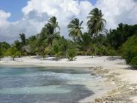 Isla Saona