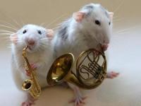 Petit groupe musical..