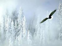 Libre comme l'air !