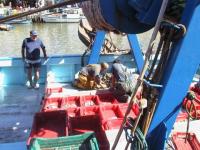 Retour de la pêche