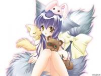 Joli petit chaton.....