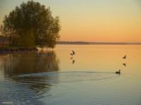 Lac des canards