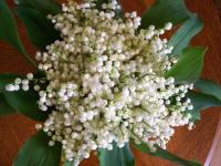 Bouquet Porte Bonheur