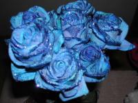Mes roses bleues paillettées
