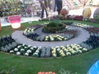 Fleurales