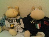 Supporter foot