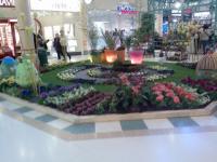 Parterre fleural