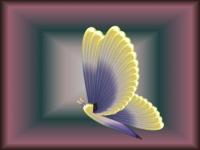 Papillon jaune