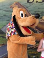 Ami de Mickey