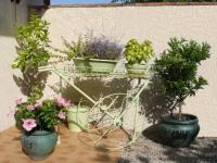 Coin de jardin