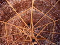 Parasol