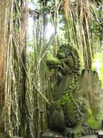 Statue devant Banian