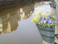 Rennes : reflets