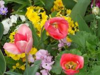 Multifleurs