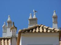 Albufeira, ses cheminées