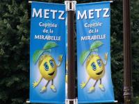 Fête de la mirabelle