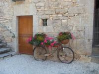 Velo fleuri