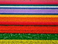 Campos de colores